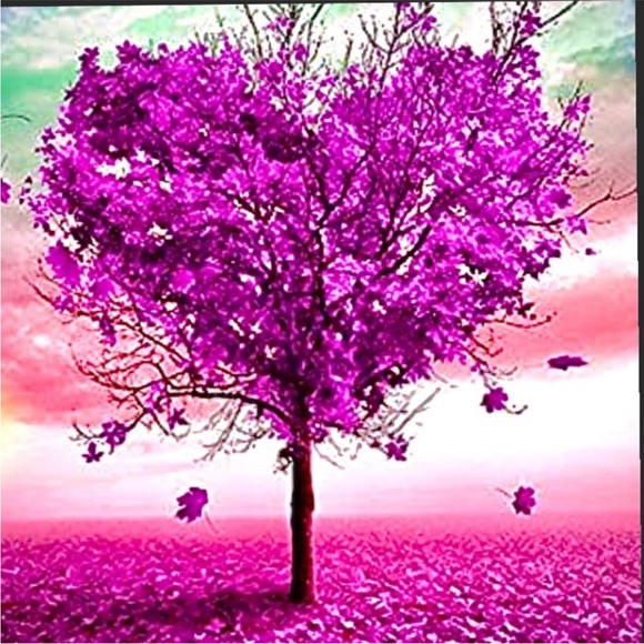 💕 SPECIALS 💕 - Picture 5 of 10